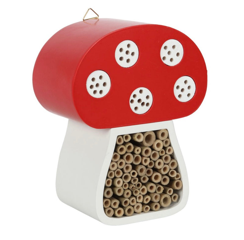 Bird Feeders & Houses